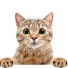 NateEyeSky's profile picture. Trends for @CwrNew, @zee_pruk