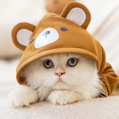pooh_kyr24's profile picture. มัมหมีชาล็อต(#SmileyofCharlotte🐰😊)
Love  and  support englot forever 🐶🐰