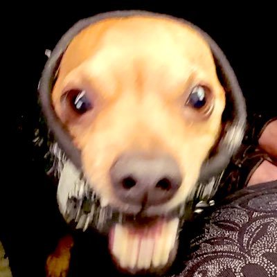 WaffenSturm's profile picture. 