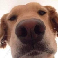 Jonathan (@bobotnt6) 's Twitter Profile