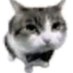 Mrdigles (@0mr_diggles0) Twitter profile photo Mrdigles (@0mr_diggles0) Twitter profile photo