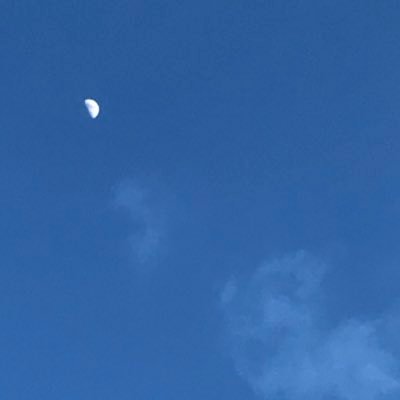 わたがしさんのプロフィール画像