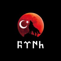 TÜRK Milliyetçileri Birliği🤘(@GkTrk09070607) 's Twitter Profile Photo