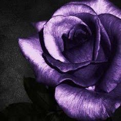 TorstenStrater_'s profile picture. Dies ist meine private Fanseite😊