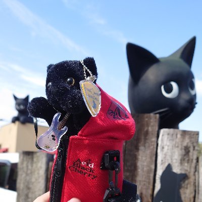 nabe11asu's profile picture. なべ

2023年SOPHIA大阪城ホール・獅子に翼Ⅴ（エタ席）参戦済
2024年SOPHIA大阪城ホール参戦済み
Acid Black Cherry2015/8/01 …大阪舞洲フリーライブ参戦済

Janne Da Arc、Acid Black Cherry、SOPHIA、タボくん、SIAM SOPHIA好きです。