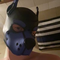 Pup Astro (@pup_astro) 's Twitter Profile