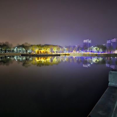 ybp88849407's profile picture. 伟大的老韭菜们充吧！