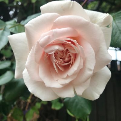 Signoret14's profile picture. “ One person alone is not a full person: we exist in relation to others.” Margaret Atwood.