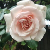 LindaC 🇪🇺🌹🍂🎾#FBPE (@signoret14) 's Twitter Profile