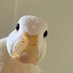 Goose is in NZ (@msshira50) Twitter profile photo Goose is in NZ (@msshira50) Twitter profile photo
