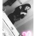 allie (@ayeedee98) Twitter profile photo allie (@ayeedee98) Twitter profile photo