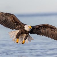 وما توفيقي إلابالله (@mohad_al_1985) 's Twitter Profile