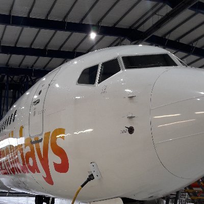 TerryMoLM's profile picture. 