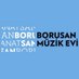 Borusan Müzik Evi (@BorusanMuzikEvi) Twitter profile photo