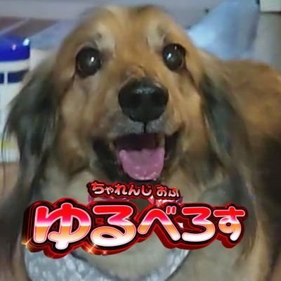 ゲレゲレ🌸さんのプロフィール画像