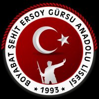 Boyabat Şehit Ersoy Gürsu Anadolu Lisesi (@sehitersoygursu) 's Twitter Profile