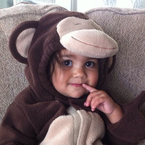 marisasequeira's profile picture. 