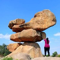 Zvavatsunga (@zvavatsunga) 's Twitter Profile
