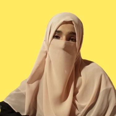 shaikhhafsa215's profile picture. Flutter Mobile App Developer