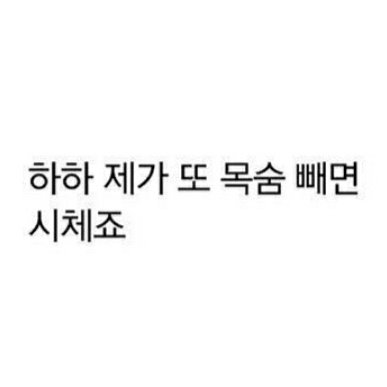 fan account 🐹김리현🐹 
김재범 손유동 김성철 애배가 수두룩
트위터 어떻게 하는지 모르고 혼잣말, 헛소리,찍먹 열심히 하는사람..