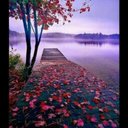 Divya Vasanth - @DivyaVasan15412 - Twitter