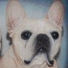 wilsonartss's profile picture. Artist
Photographer