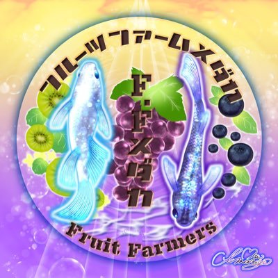 F.Fメダカ 岡山県勝田郡勝央町黒土811-3 約60品種 1匹〜販売🉑 殆どの品種が200円〜max4000円でご購入頂けます! 山陽新聞掲載❗️ 地方テレビ出演❗️