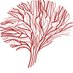 METU Cognitive Science / ODTÜ Bilişsel Bilimler (@metucogsci) Twitter profile photo METU Cognitive Science / ODTÜ Bilişsel Bilimler (@metucogsci) Twitter profile photo
