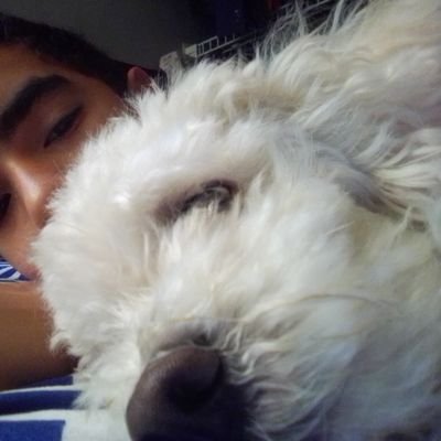 Solo quiero dormir y jugar voley