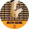 xreynex's profile picture. First Kennel on muzzle run to hit 2000 wins! https://t.co/ihs76XTsQz
