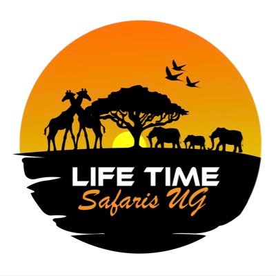 Email: lifetimesafari.ug@gmail.com | (+256)779-349-179