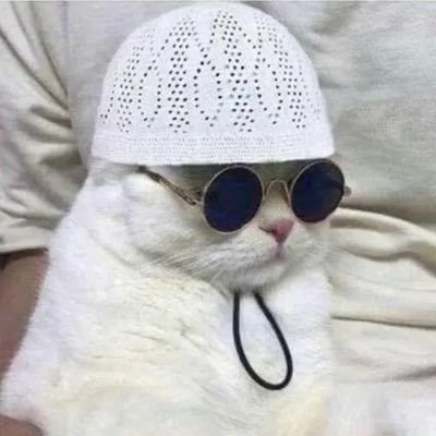 ahmada_azzam's profile picture. Unpredictable knuckle head*
Arsenal*
Movies*
Anime*
Aries🐑