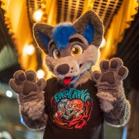 KynoWolf 🇩🇪🇬🇧🏳️🌈 (@kynowolf) 's Twitter Profile