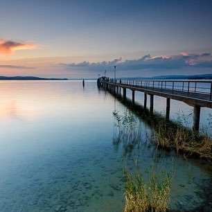 onubuntu_'s profile picture. 