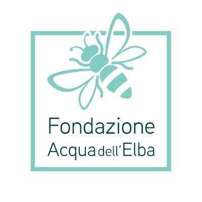 Fondazione Acqua dell'Elba, realtà no-profit pensata per far crescere l’Isola e il suo patrimonio, concentrandosi su ambiente, istruzione, cultura, sanità, arte