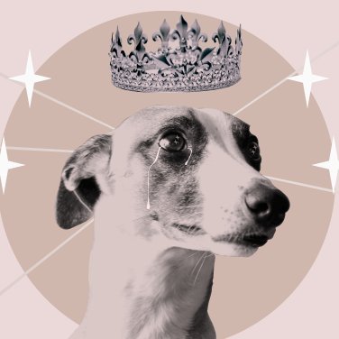 __carlabonita__ Profile Picture
