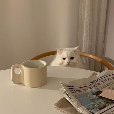 armygir20321876's profile picture. ستاره کم نور⭐️