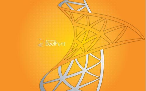 Dutch SharePoint Administrator, Analyst