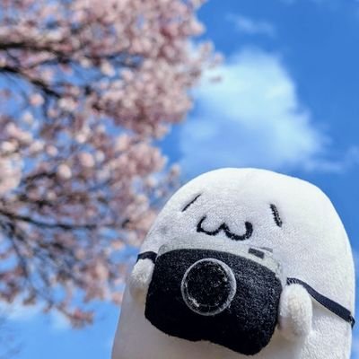 もぐ🦭さんのプロフィール画像