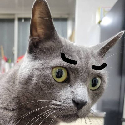 ぱぴぽてぷりまろぴのさんのプロフィール画像