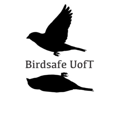 A group striving to make UofT at St George Campus bird safe. Found a bird? DM or tag us with a window collision pic, or use our form (link in bio)