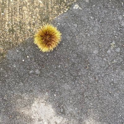 rioswdrioswd's profile picture. 独立自尊系20代。フラグクラッシュしがち。