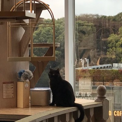 XNiVQ7cup3zXHxd's profile picture. 旅行、音楽、お昼寝、宇宙が多分好きな二十歳です。
人と話さなすぎて声の出し方を忘れることがあります。