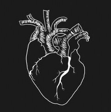 4amf33lings's profile picture. 