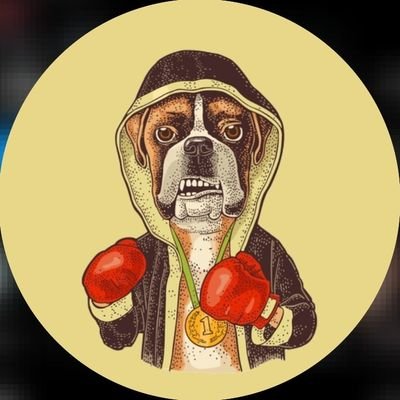 Welcome to the #boxer Lovers Community!
Follow us for Daily sharing #boxer happiness!
This page is dedicated for all #boxer Owners & Lovers!!