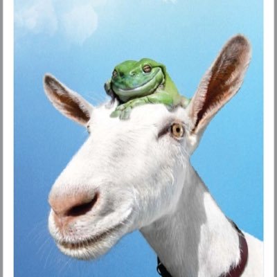 GoatFrogman here! Twitch Affiliate with goal of bringing joy to people with gaming. Come check the stream and leave a follow! Promise to show support back!