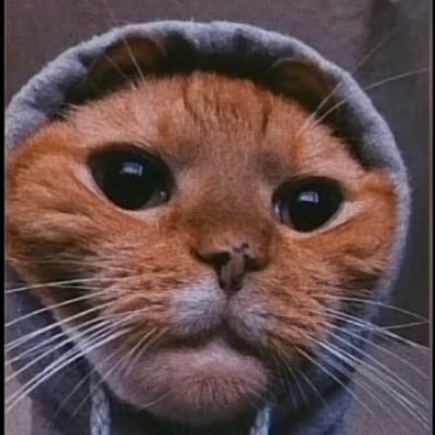 SkyHiTee's profile picture. 朝日新聞の記者です。今年はプロ野球・楽天イーグルスを担当しています。冬場はノルディックスキー競技を中心にソチ、平昌両五輪をカバーしました。千葉県松戸市出身。つぶやきは私見です。