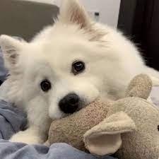 saefunnasir's profile picture. ความอดทนนั้นขมขื่น แต่ผลของมันนั้นหอมหวาน