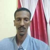محمد عبدالله (@mohemdnm) 's Twitter Profile