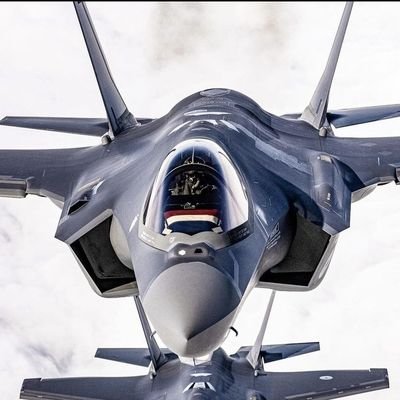 Dutch_Catto's profile picture. Average Ukrainian supporter
🇳🇱🤝🇺🇦